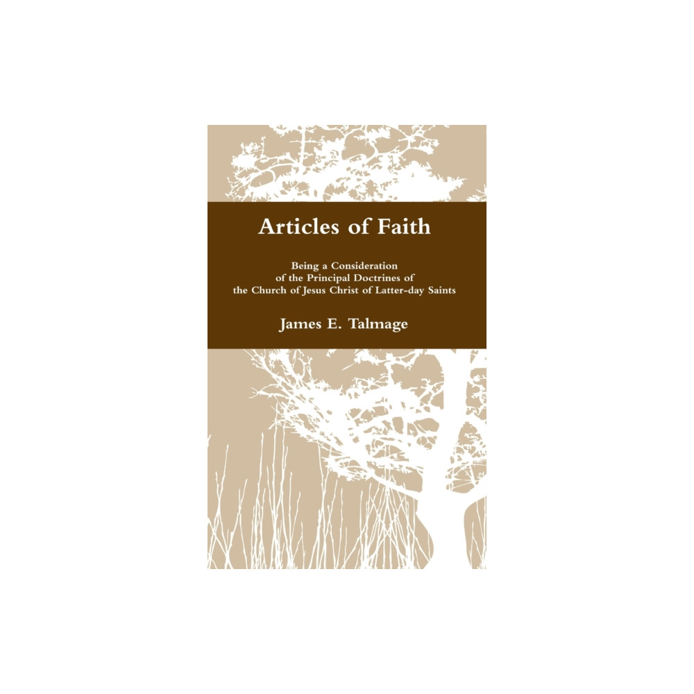Produktbild för Articles of Faith (inbunden, eng)