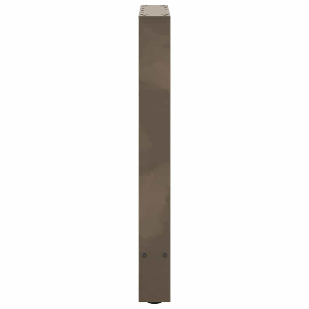 Produktbild för Matbordsben naturstål 2 st 50x(72-73) cm stål