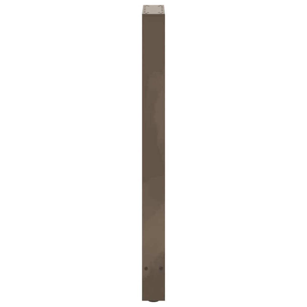 Produktbild för Barbordsben naturstål 2 st 50x(100-101) cm stål