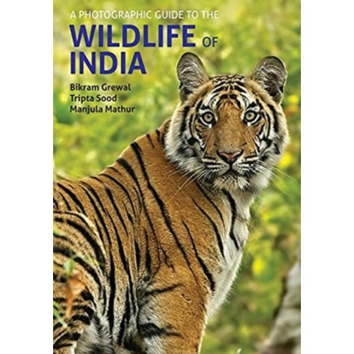 John Beaufoy Publishing Ltd A Photographic Guide to the Wildlife of India (häftad, eng)