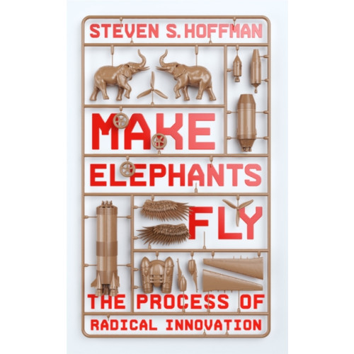 Little, Brown Book Group Make Elephants Fly (häftad, eng)