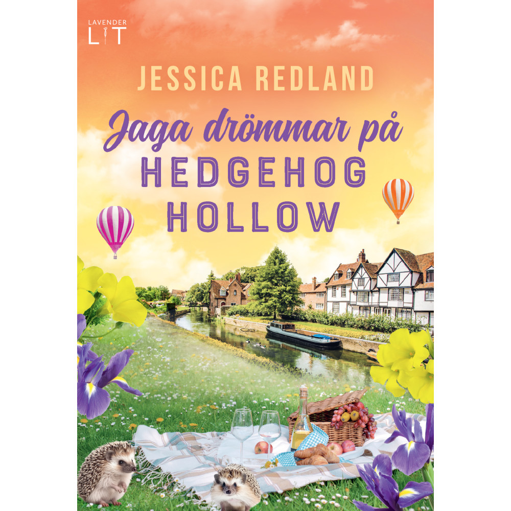 Produktbild för Jaga drömmar på Hedgehog Hollow (pocket)