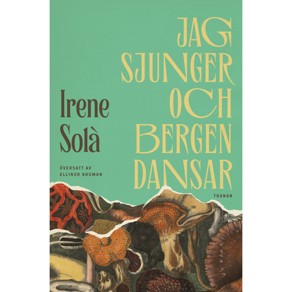 Produktbild för Jag sjunger och bergen dansar (inbunden)