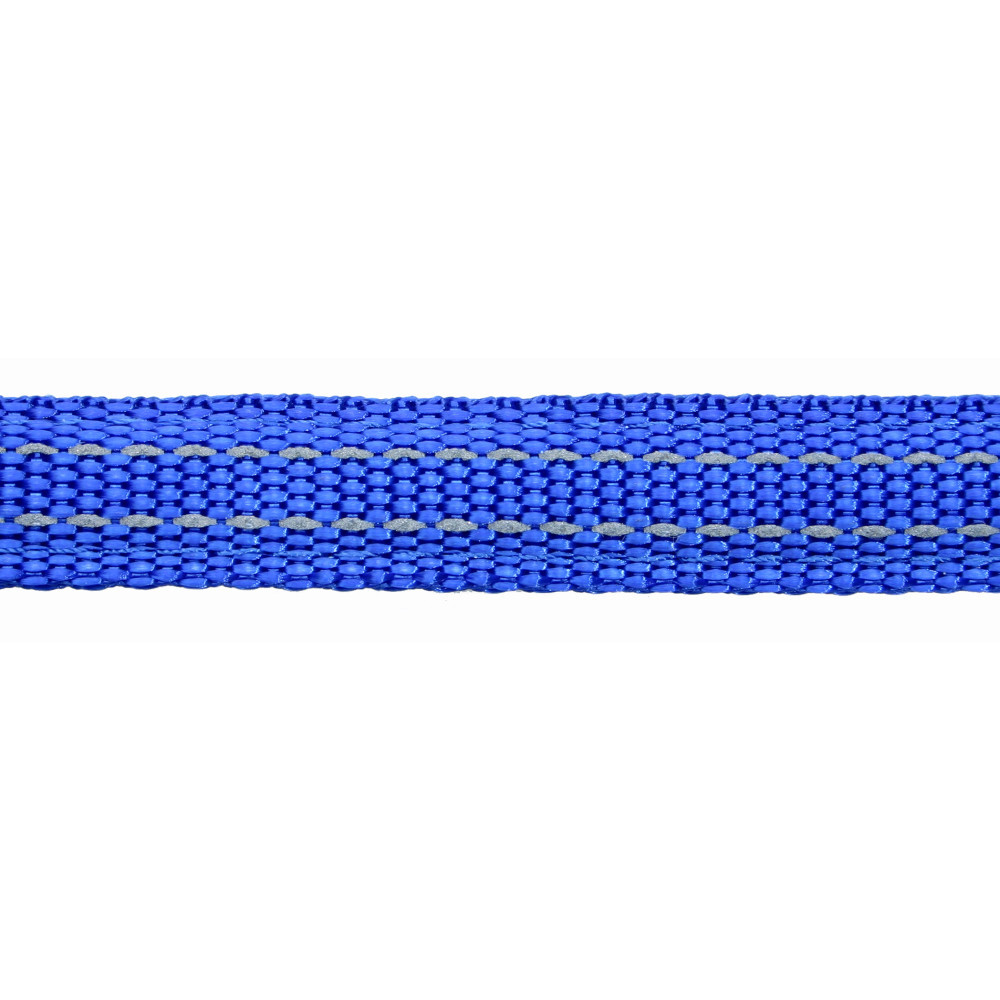 Produktbild för Koppel nylon reflex Blått Gibbon 10mm/180cm