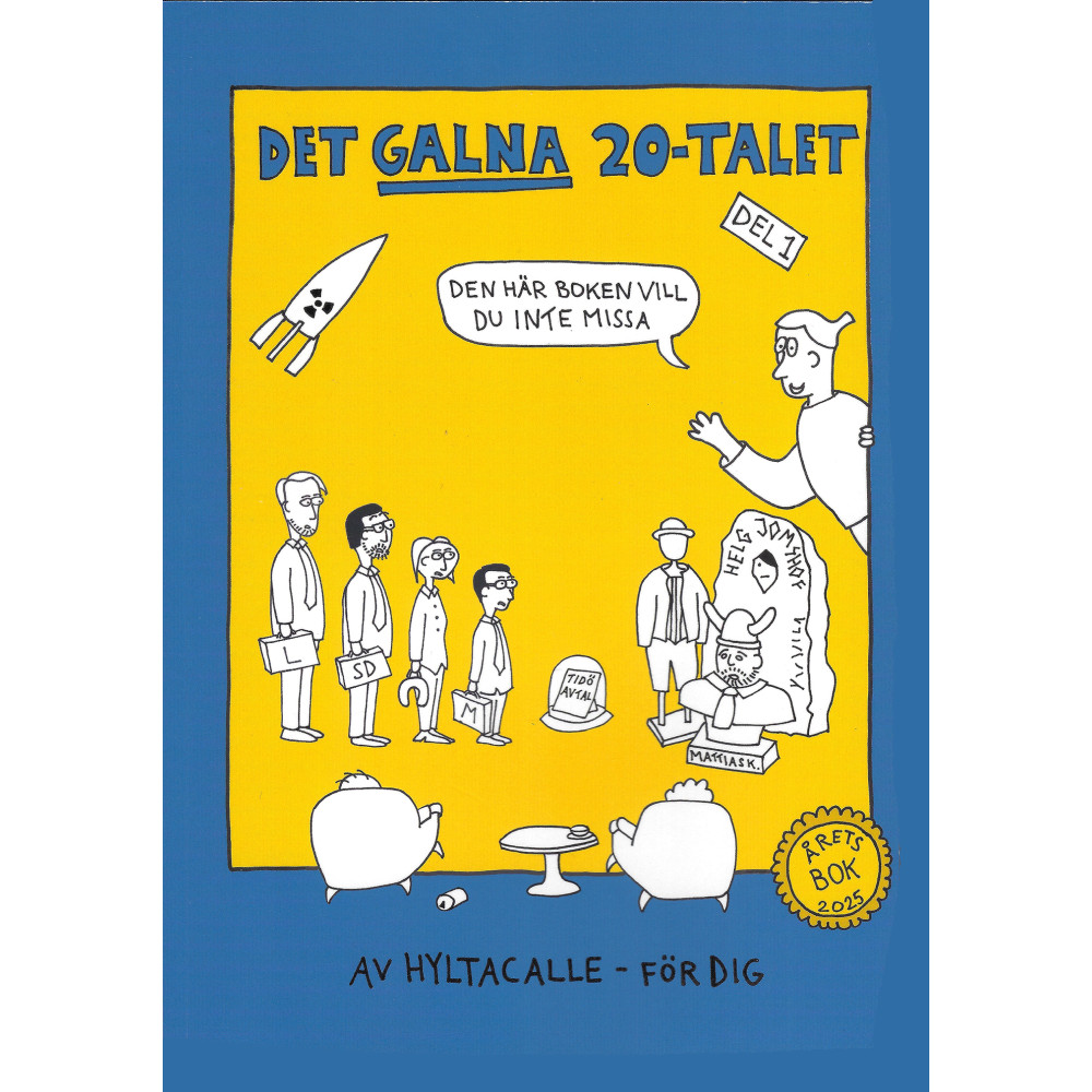 Produktbild för Det galna 20-talet (bok, storpocket)