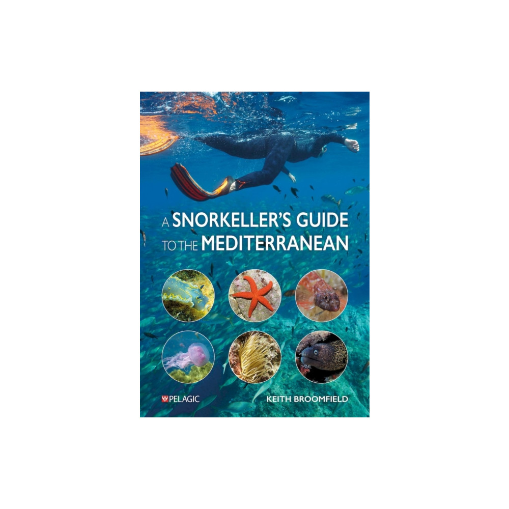 Produktbild för A Snorkeller’s Guide to the Mediterranean (häftad, eng)