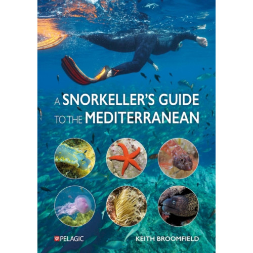 Pelagic Publishing A Snorkeller’s Guide to the Mediterranean (häftad, eng)