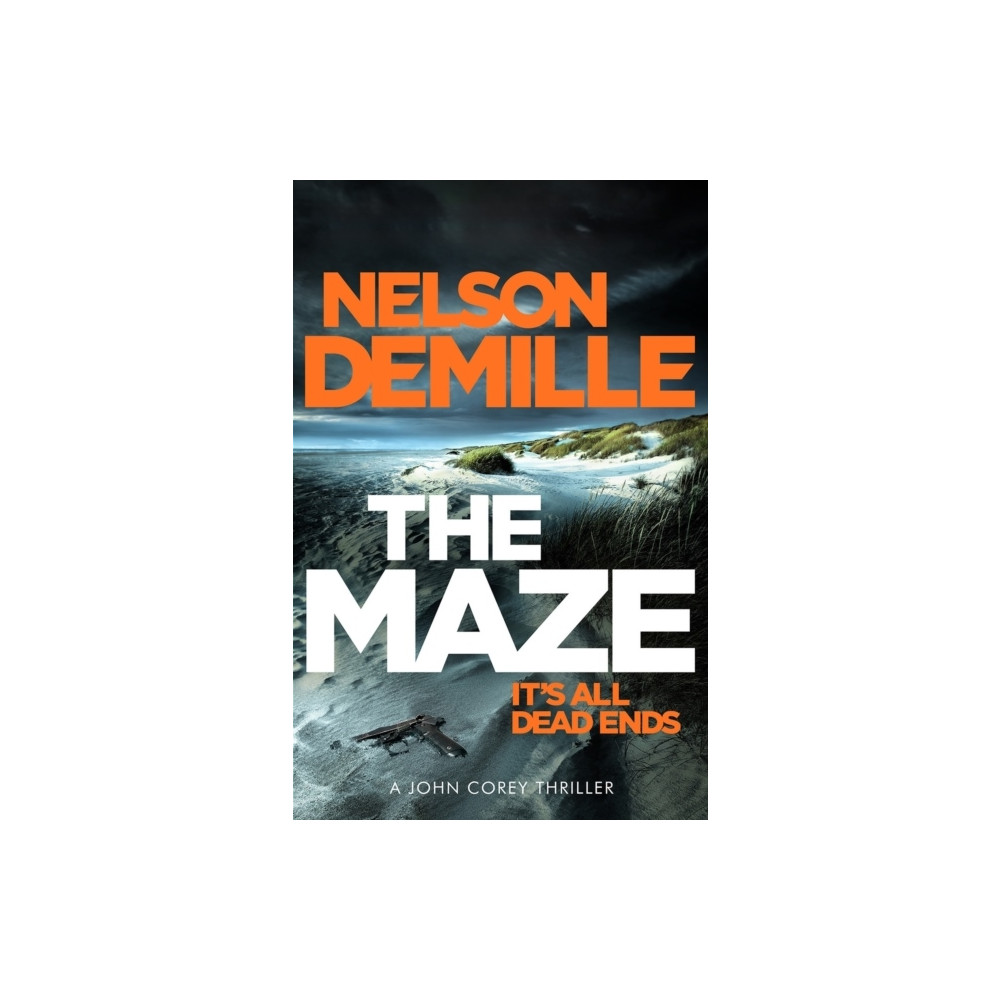 Produktbild för The Maze (häftad, eng)