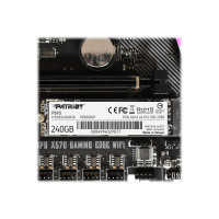 Produktbild för Patriot P310 - SSD - 240 GB - PCIe 3.0 x4 (NVMe)