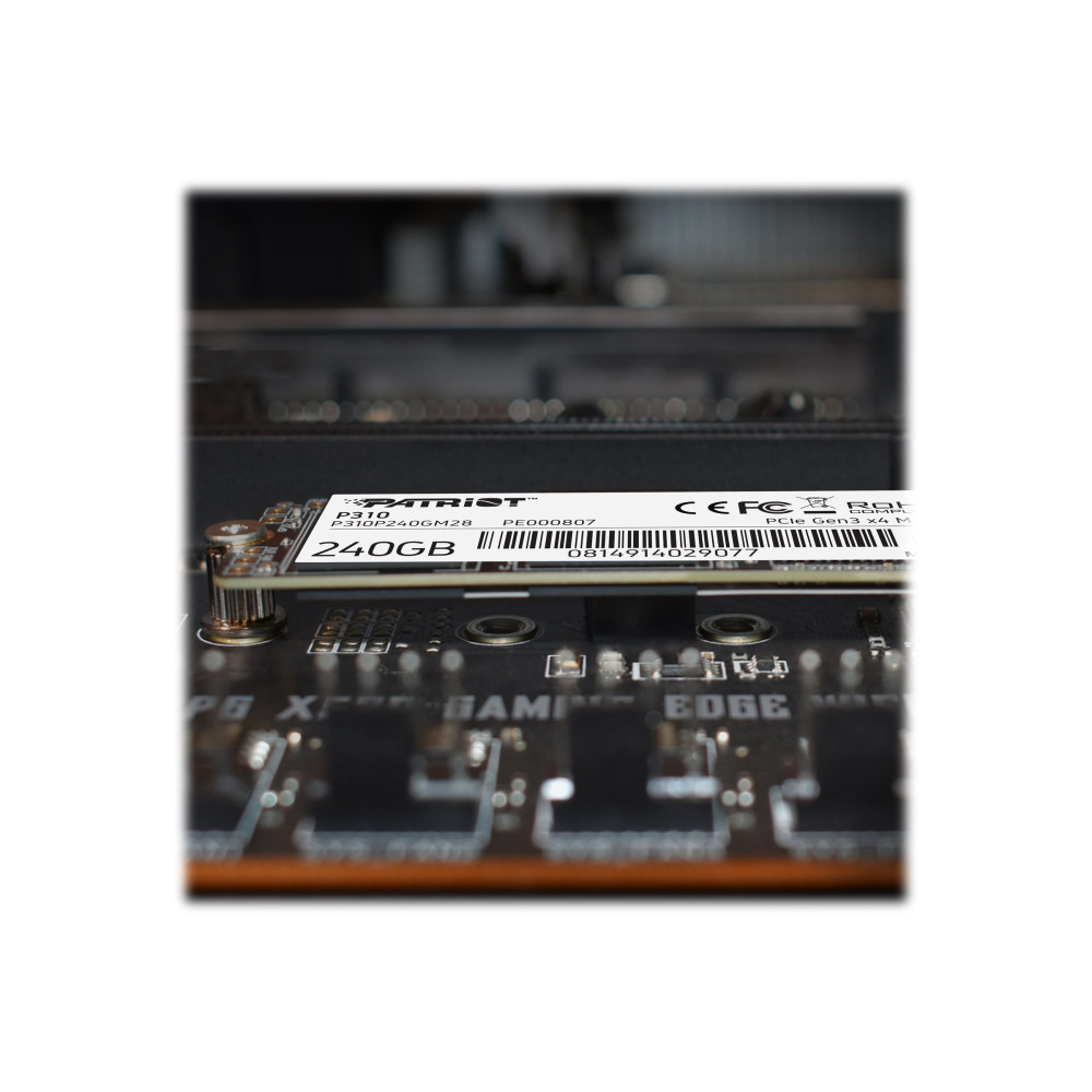 Produktbild för Patriot P310 - SSD - 240 GB - PCIe 3.0 x4 (NVMe)