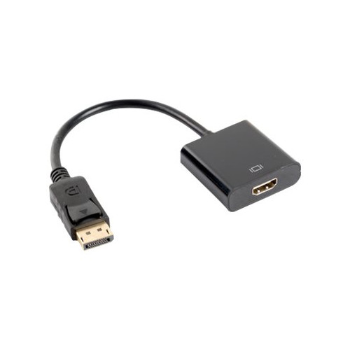 LANBERG Lanberg videokort - DisplayPort / HDMI - 20 cm