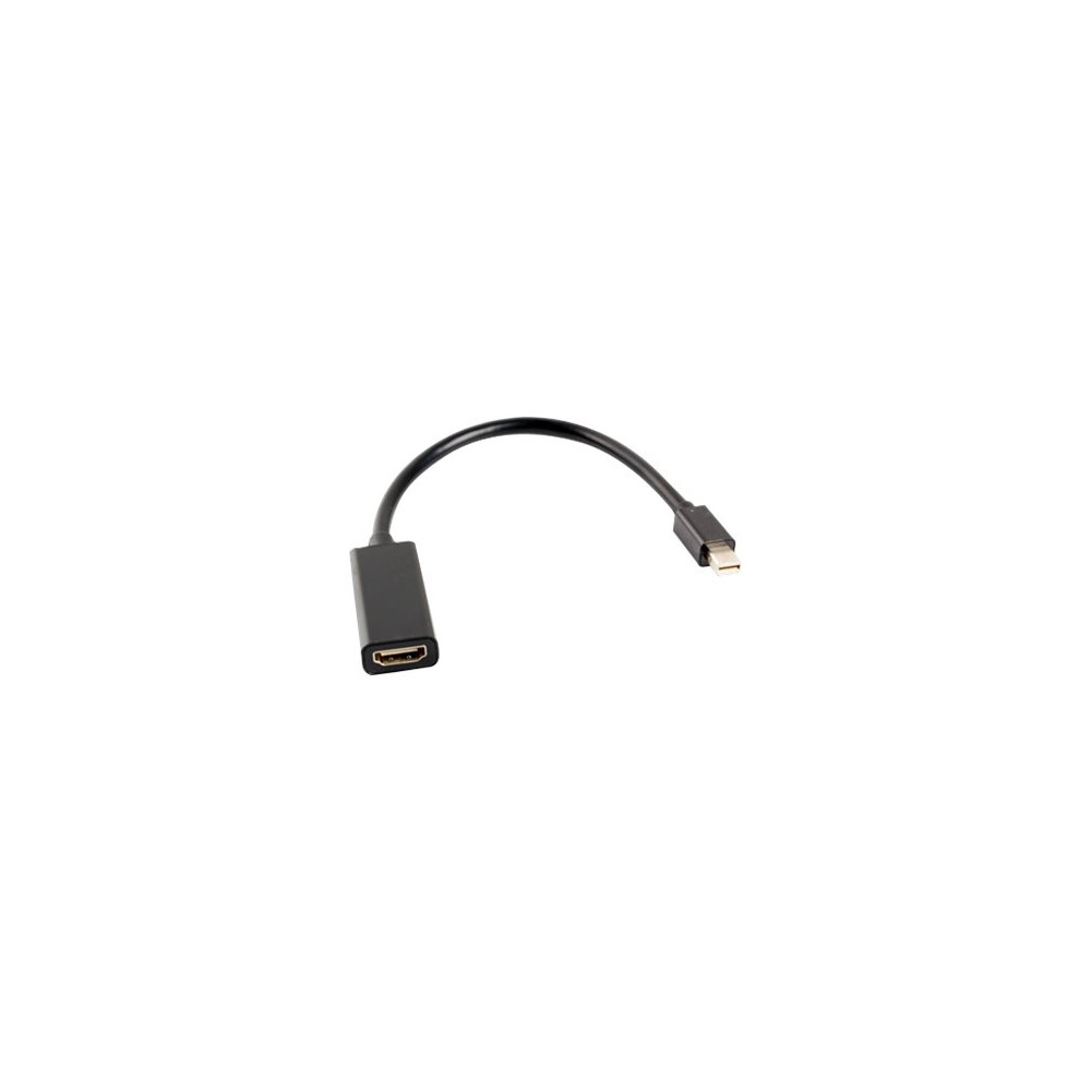 Produktbild för Lanberg videokort - DisplayPort / HDMI - 20 cm