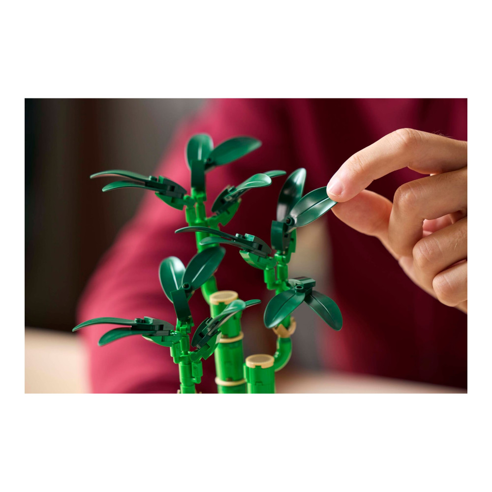 Produktbild för LEGO The Botanical Collection 10344 - Lycklig bambu - byggsats