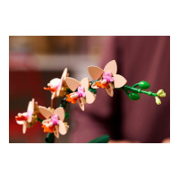 Produktbild för LEGO The Botanical Collection 10343 - Miniorkidé - byggsats