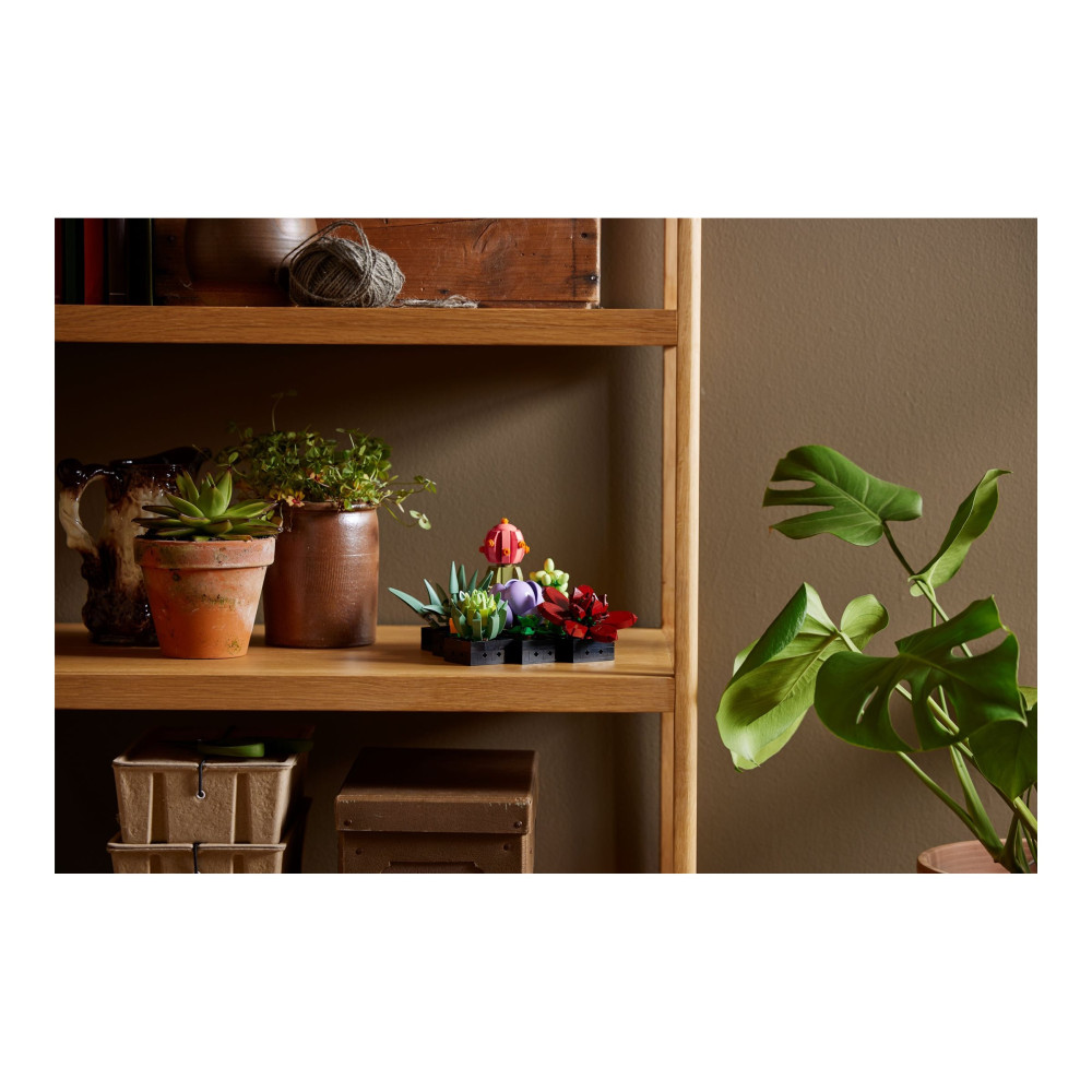 Produktbild för LEGO Icons 10309 - Succulents - byggsats