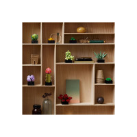 Produktbild för LEGO Icons 10309 - Succulents - byggsats