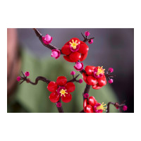 Produktbild för LEGO Icons 10369 - Plommonblomma - byggsats