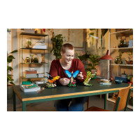 Produktbild för LEGO Ideas 21342 - Insektskollektionen - byggsats