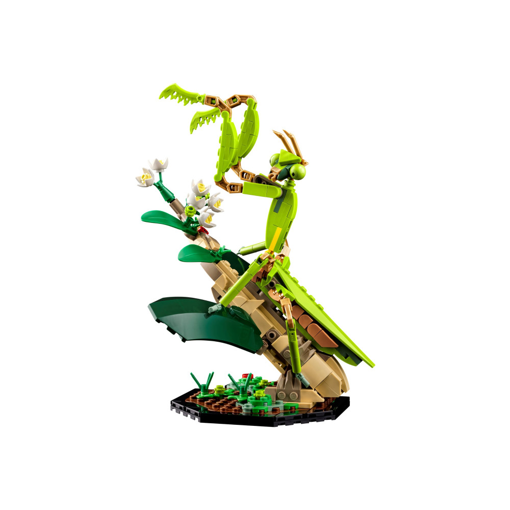 Produktbild för LEGO Ideas 21342 - Insektskollektionen - byggsats