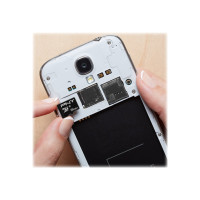 Produktbild för PNY Performance Plus - flash-minneskort - 64 GB - microSDXC