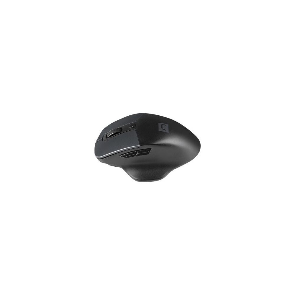 Produktbild för Natec Blackbird 2 - mus - 2.4 GHz - svart