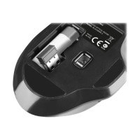 Produktbild för Natec Blackbird 2 - mus - 2.4 GHz - svart