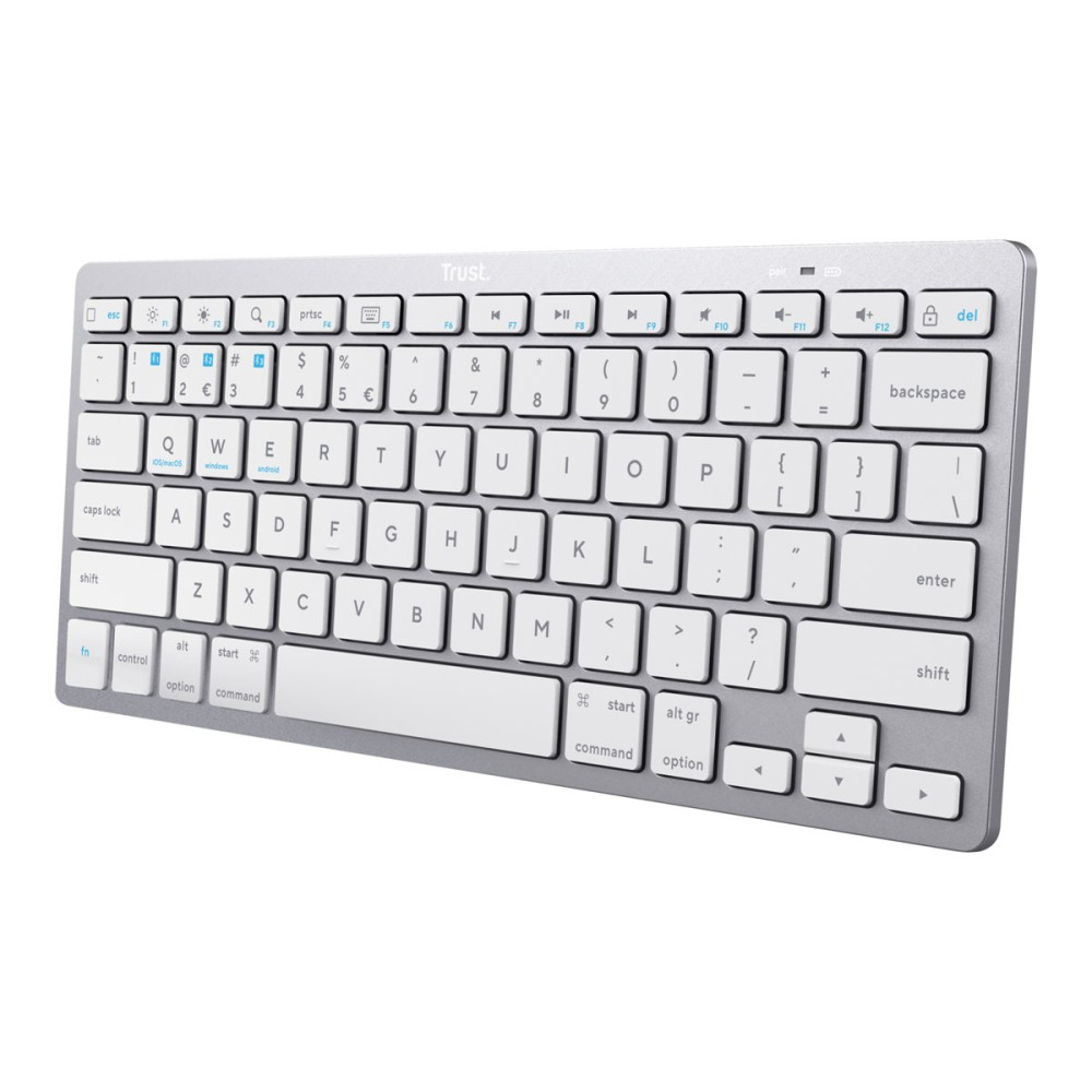 Produktbild för Trust - tangentbord - QWERTY - amerikansk - silver Inmatningsenhet
