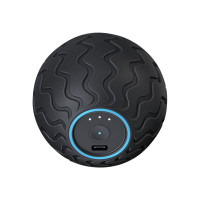 Produktbild för Theragun Wave Solo - massageboll