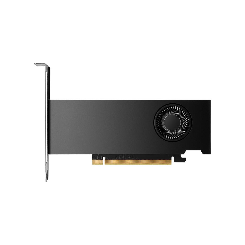 Produktbild för NVIDIA - grafikkort - NVIDIA RTX 2000 Ada - 16 GB
