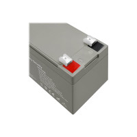 Produktbild för Qoltec - UPS-batteri - AGM-batteri, max. 105A, säkerhet - Bly-syra - 7 Ah