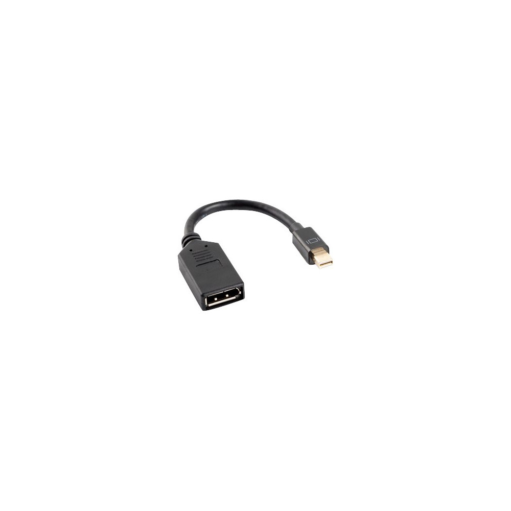 Produktbild för Lanberg DisplayPort-adapter - 12 cm