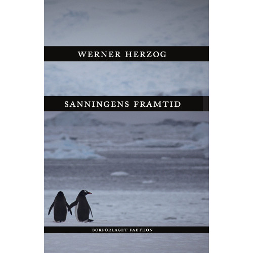 Werner Herzog Sanningens framtid (inbunden)