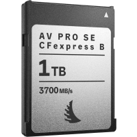 Produktbild för Angelbird CFexpress 4.0 Type B AV PRO SE CFexpress B v4 MK2, R3700/W2300 I SR3500/SW2100 (4.0) 1TB