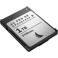 Produktbild för Angelbird CFexpress 4.0 Type B AV PRO SE CFexpress B v4 MK2, R3700/W2300 I SR3500/SW2100 (4.0) 1TB
