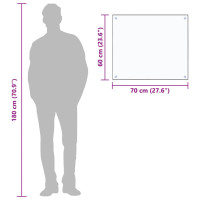 Produktbild för Stänkskydd transparent 70x60 cm härdat glas