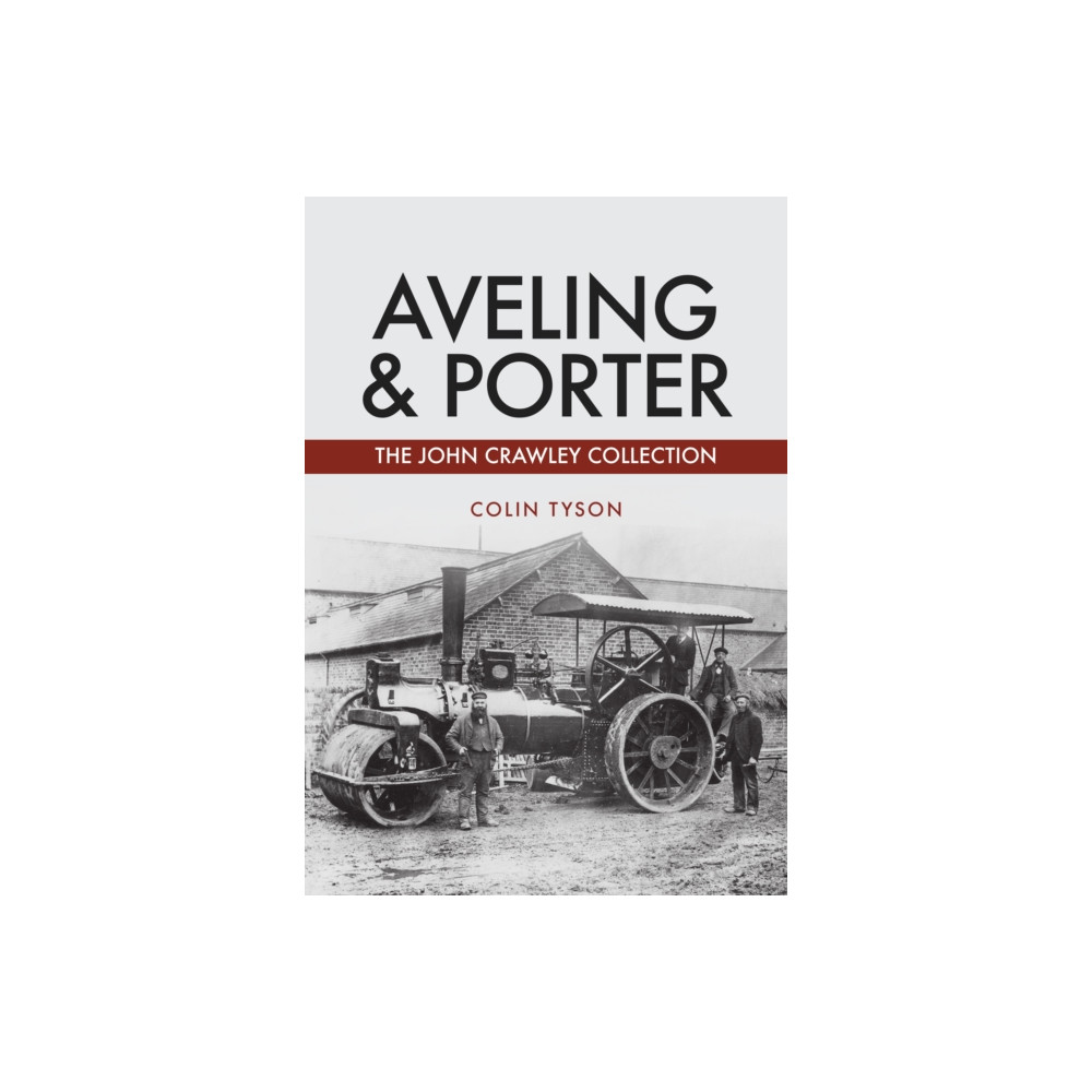 Produktbild för Aveling & Porter (häftad, eng)