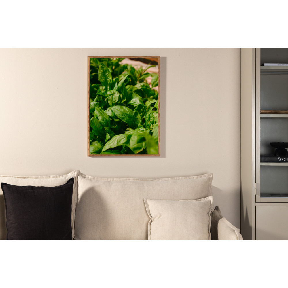 Produktbild för Gree leaf Poster