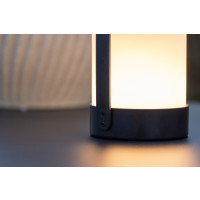Produktbild för Fern Bordslampa