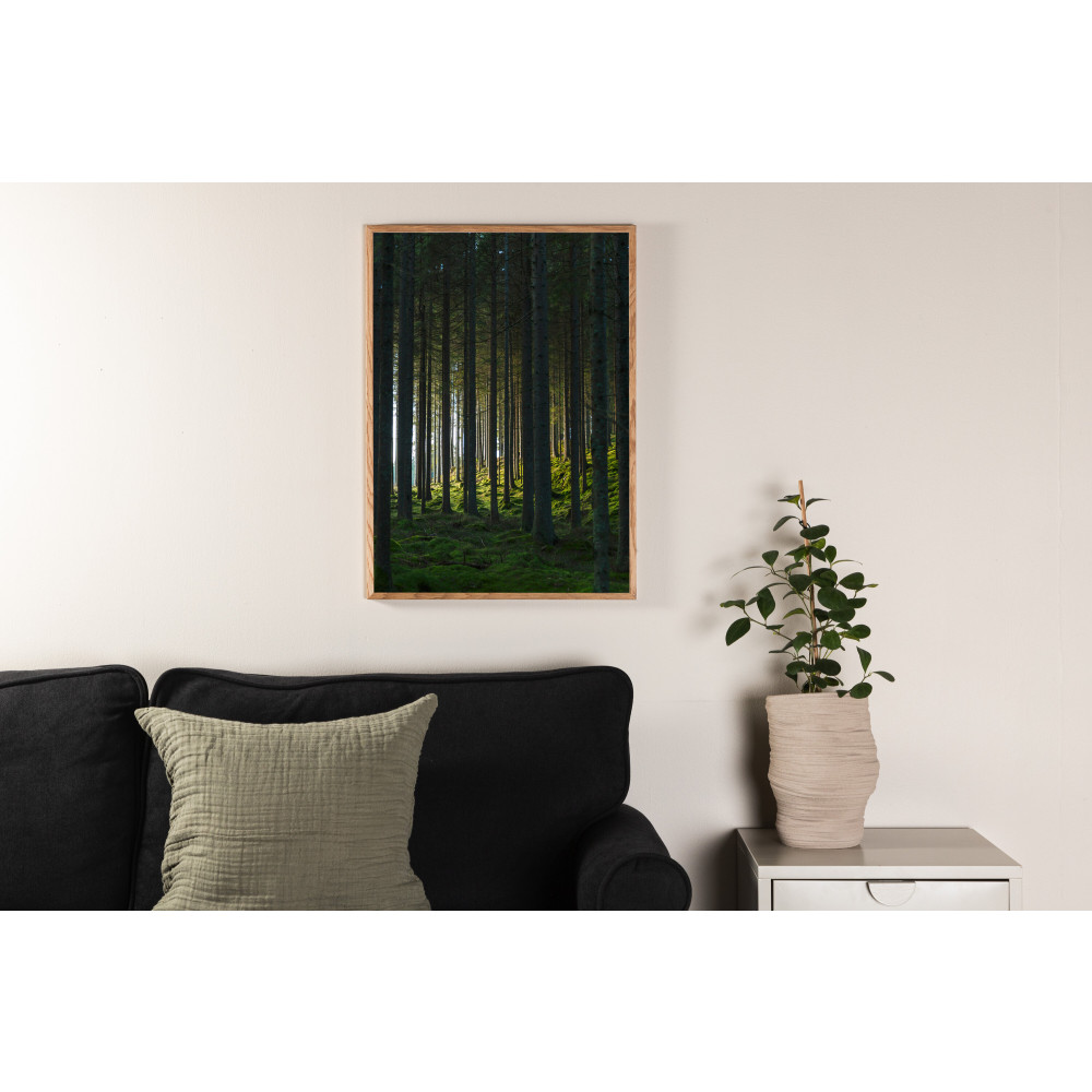 Produktbild för Woods Poster