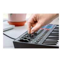 Produktbild för M-Audio Oxygen Pro Mini - MIDI kontroller