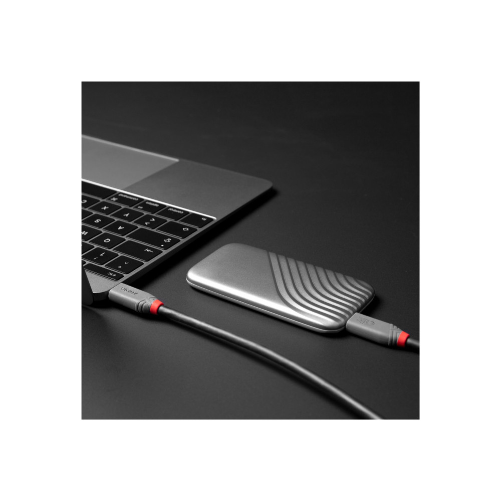 Produktbild för Lindy Anthra Line - USB typ C-kabel - 24 pin USB-C till 24 pin USB-C - 1.5 m