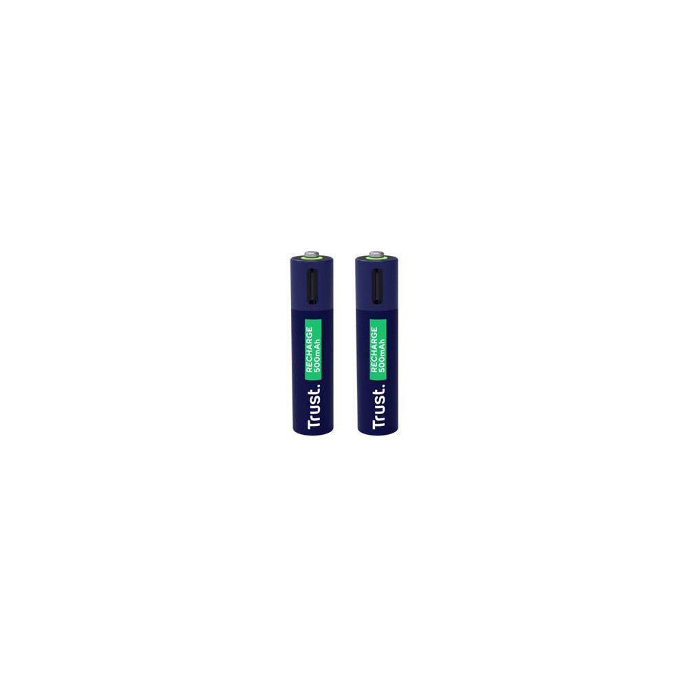 Produktbild för Trust batteri - USB-C - med batteri - 2 x AAA