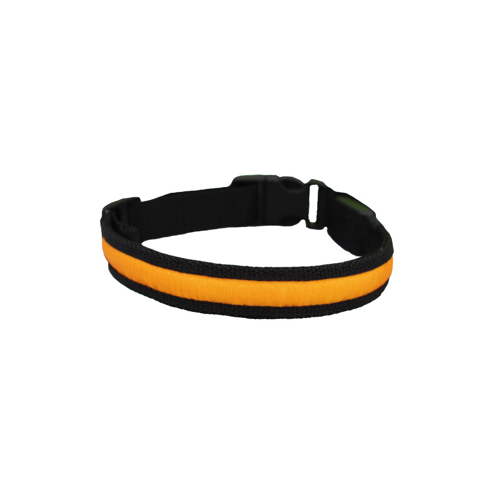 Produktbild för Flash Halsband med Usb Kabel grön