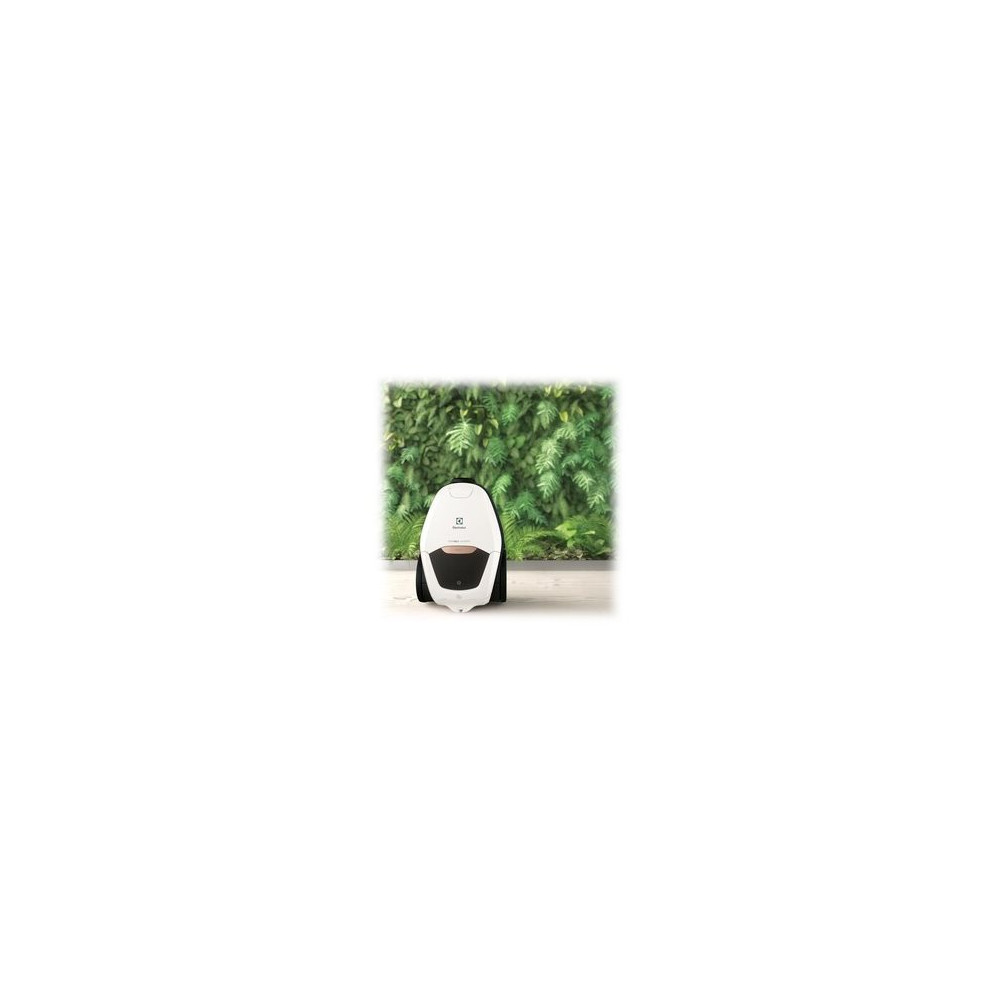 Produktbild för Electrolux Pure D8.2 PD82-ALRG - dammsugare - med behållare - mjuk vit