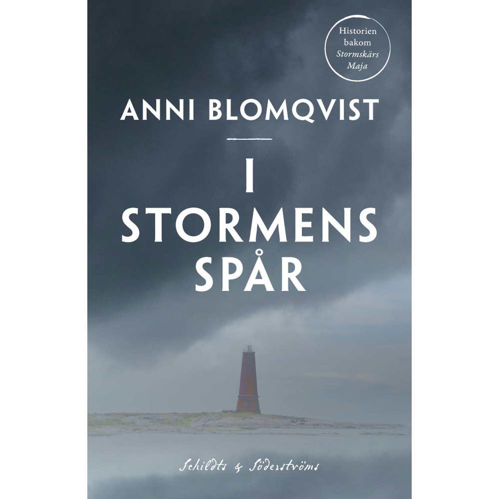 Produktbild för I stormens spår (häftad)