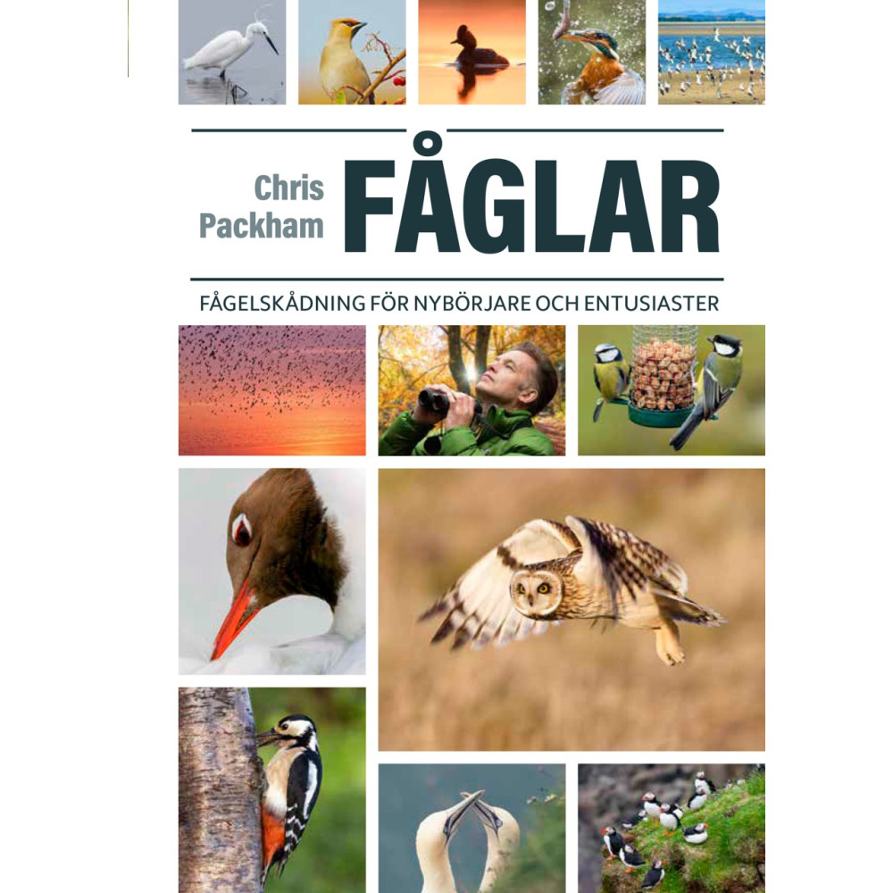 Produktbild för Fåglar : fågelskådning för nybörjare och entusiaster (inbunden)