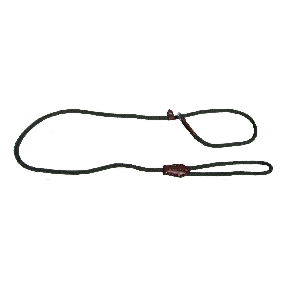 Produktbild för Walker Retrieverkoppel Bomull Grön 11mm/140 cm