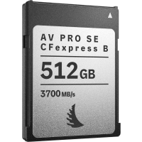 Produktbild för Angelbird CFexpress 4.0 Type B AV PRO SE CFexpress B v4 MK2, R3700/W1100 I SR3500/SW1050 (4.0) 512GB
