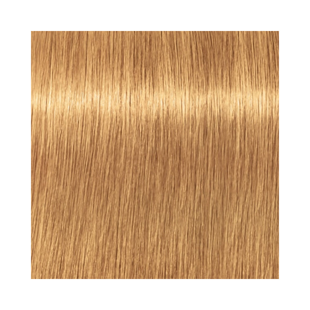 Produktbild för Professional Igora Vibrance Kit 9.5-5 Gold Toner