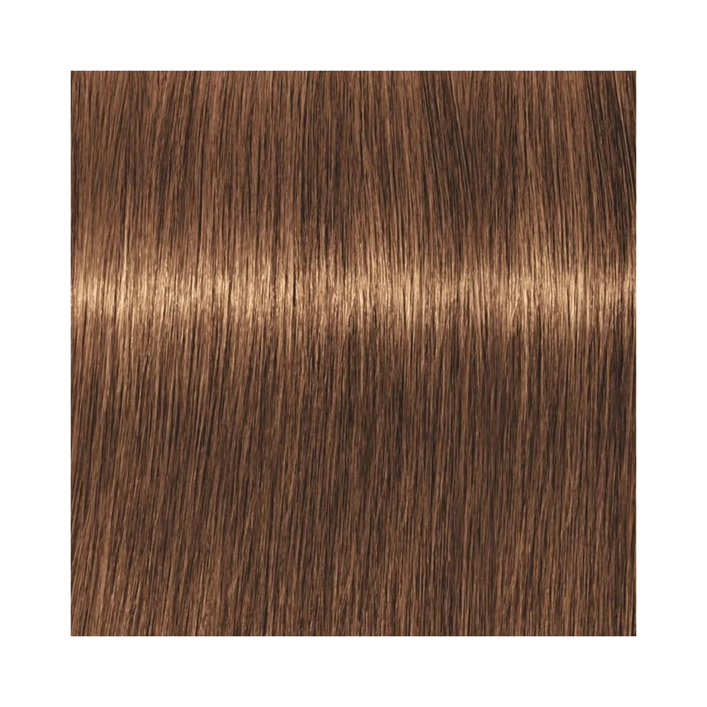 Produktbild för Professional Igora Vibrance Kit 7-55 Medium Blonde Gold Extra